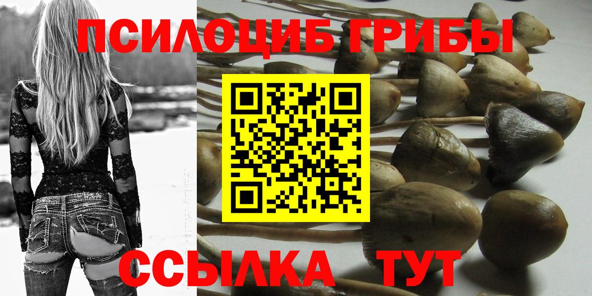 Псилоцибиновые грибы прущие грибы  Вход с VPN  магазин продажи   Трёхгорный 